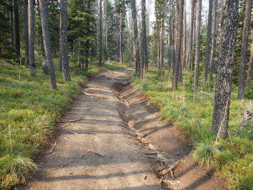 GDMBR: Challenging Bicycle Tour Trail.